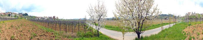 Vipolže Panorama