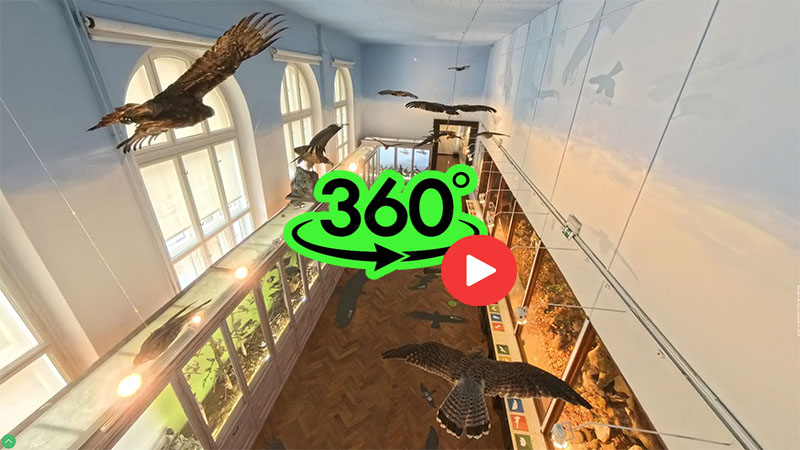 Naše malo veliko morje