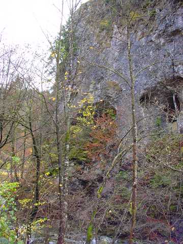 Pečina nad šumom